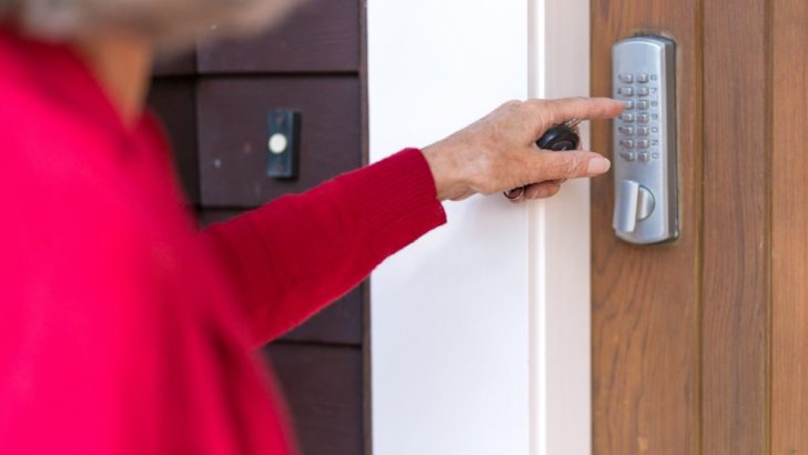 smart locks for door