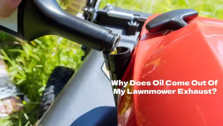 oil coming out of lawnmower exhaust