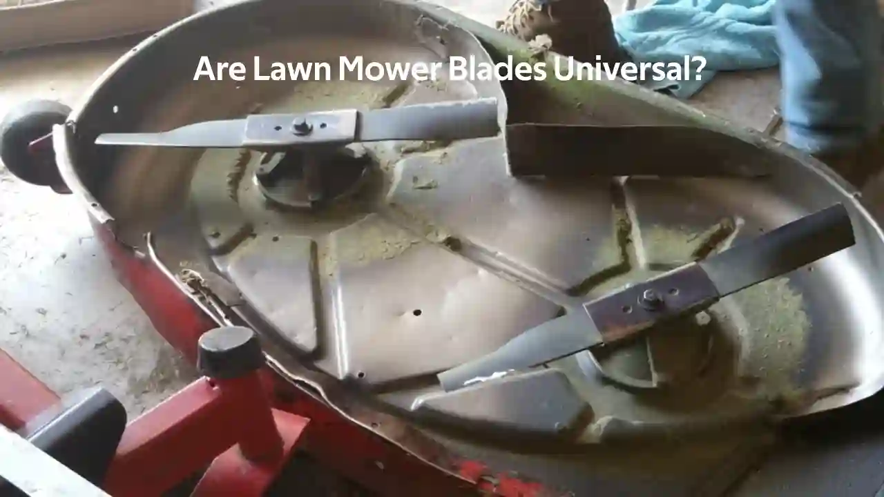 lawn mower blades