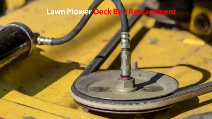 replace lawn mower deck belt