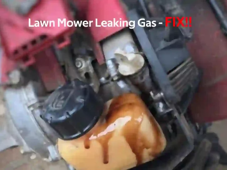 Why Does The Lawn Mower Leak Gas From The Air Filter? [Fix Easily in Seconds]