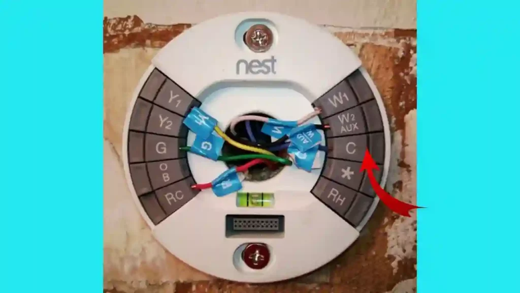where to place C wire in nest thermostat