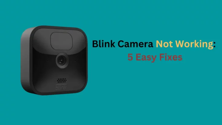 How to fix blink camera not working